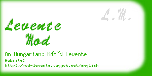 levente mod business card